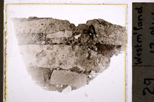 Plane Polarized, E20385