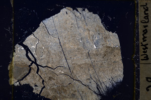 Cross Polarized, E20392