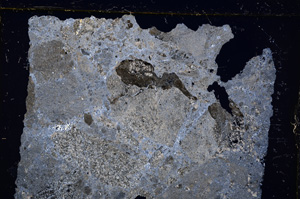 Cross Polarized, E20393