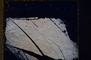 Cross Polarized, E20394