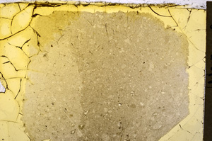 Plane Polarized, E20395