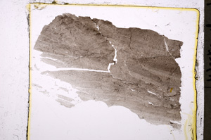 Plane Polarized, E20396