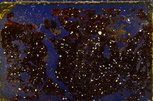 Cross Polarized, E20400