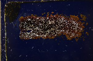 Cross Polarized, E20404