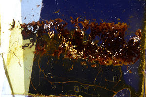 Cross Polarized, E20407