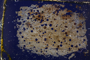 Cross Polarized, E20410