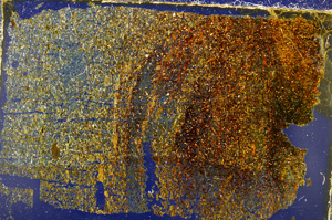 Cross Polarized, E20415