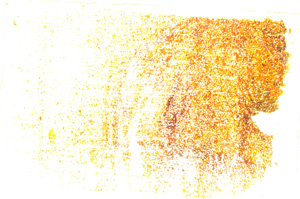 Plane Polarized, E20415