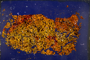 Cross Polarized, E20421