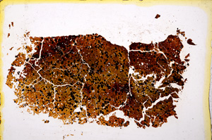 Plane Polarized, E20421