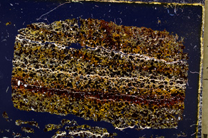 Cross Polarized, E20422