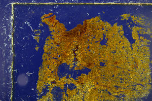 Cross Polarized, E20424