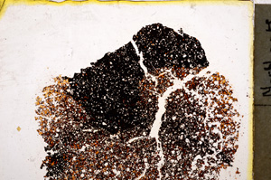 Plane Polarized, E20426