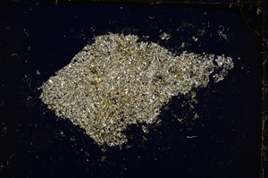 Cross Polarized, E20427