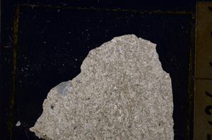 Cross Polarized, E20441