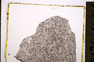 Plane Polarized, E20441