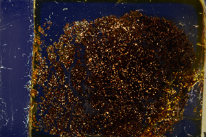 Cross Polarized, E20443