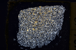 Cross Polarized, E20446