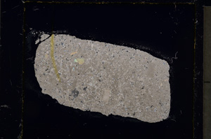 Cross Polarized, E20449