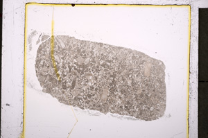 Plane Polarized, E20449