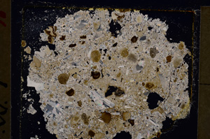 Cross Polarized, E20466