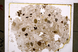 Plane Polarized, E20466