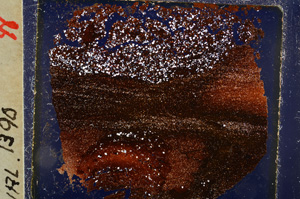 Cross Polarized, E20471