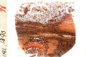 Plane Polarized, E20471