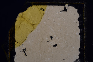 Cross Polarized, E20490