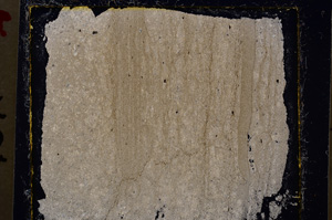 Cross Polarized, E20491