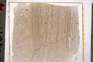 Plane Polarized, E20491