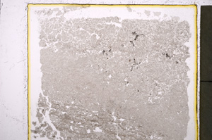 Plane Polarized, E20493