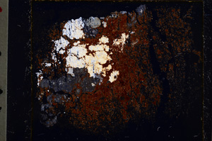 Cross Polarized, E20507