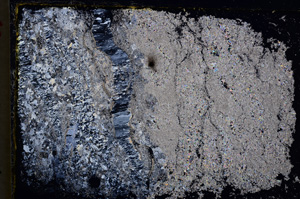 Cross Polarized, E20528/A