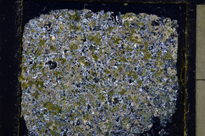 Cross Polarized, E20537