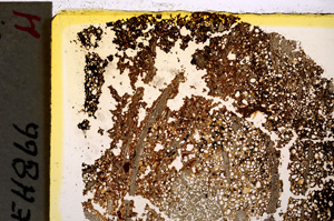 Plane Polarized, E20561