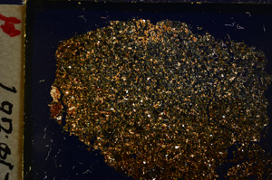 Cross Polarized, E20562