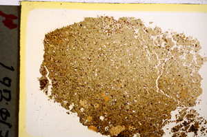 Plane Polarized, E20562