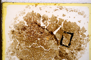 Plane Polarized, E20563