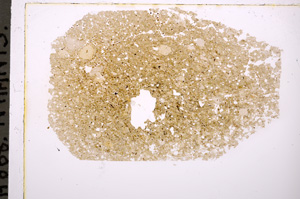 Plane Polarized, E20563/A