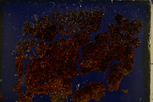 Cross Polarized, E20570