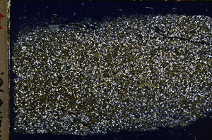 Cross Polarized, E20571