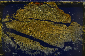 Cross Polarized, E20572