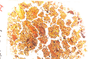 Plane Polarized, E20574