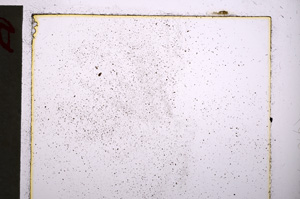 Plane Polarized, E20582