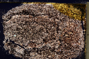 Cross Polarized, E20586