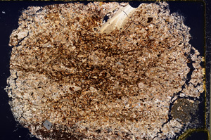 Cross Polarized, E20587