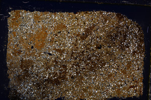 Cross Polarized, E20598