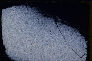 Cross Polarized, E20606