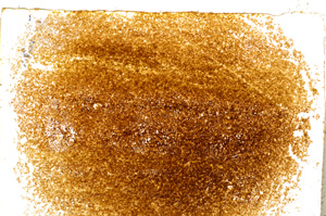 Plane Polarized, E20613